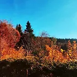 Nyaraló Pet & Family Friendly House Viktorija - House Near Golica With Triglav View *