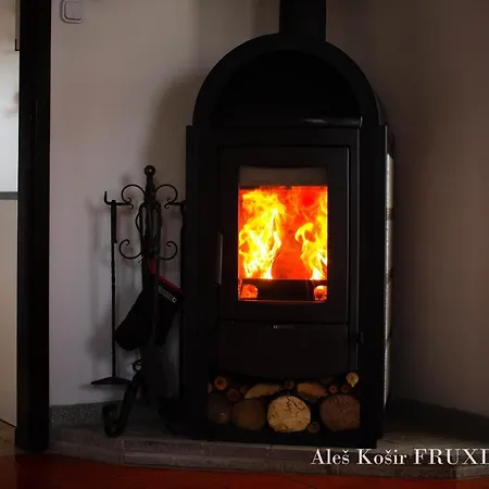 Pet & Family Friendly House Viktorija - House Near Golica With Triglav View Holiday home Jesenice