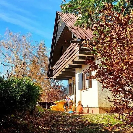 Vakantiehuis Pet&family Friendly House Viktorija - House Near Golica With Triglav View *