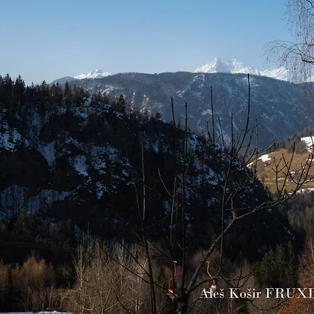 Pet & Family Friendly House Viktorija - House Near Golica With Triglav View Hébergement de vacances Jesenice