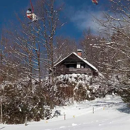 Pet & Family Friendly House Viktorija - House Near Golica With Triglav View Jesenice