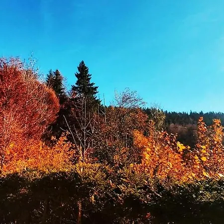 Сasa de vacaciones Pet & Family Friendly House Viktorija - House Near Golica With Triglav View *