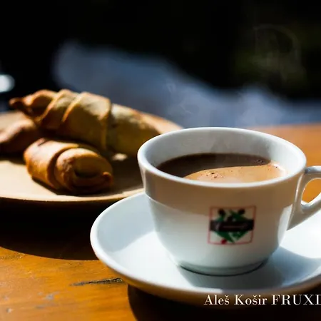 Pet & Family Friendly House Viktorija - House Near Golica With Triglav View Jesenice