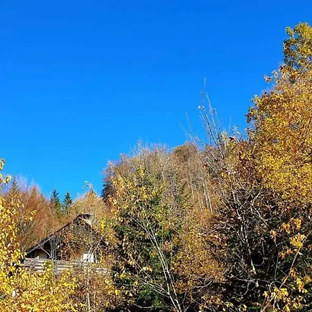 Vakantiehuis Pet&family Friendly House Viktorija - House Near Golica With Triglav View