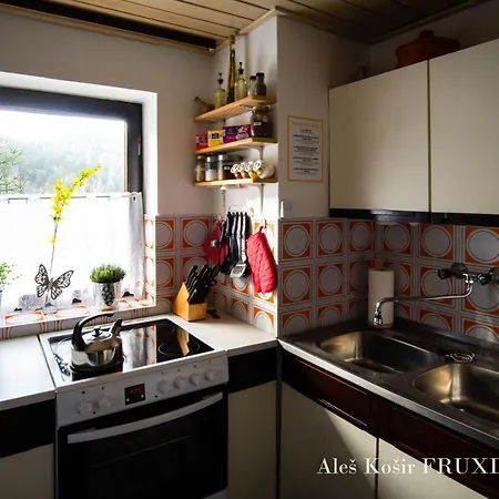 Pet&family Friendly House Viktorija - House Near Golica With Triglav View * Jesenice