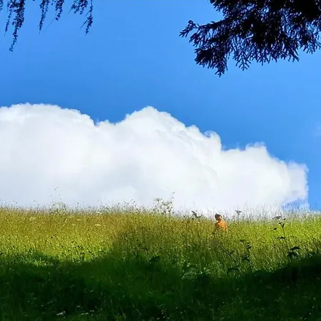 Pet & Family Friendly House Viktorija - House Near Golica With Triglav View Jesenice