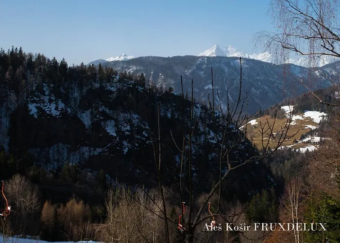 Pet & Family Friendly House Viktorija - House Near Golica With Triglav View Hébergement de vacances Jesenice