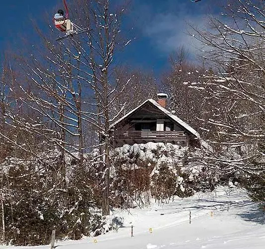 Pet & Family Friendly House Viktorija - House Near Golica With Triglav View Jesenice