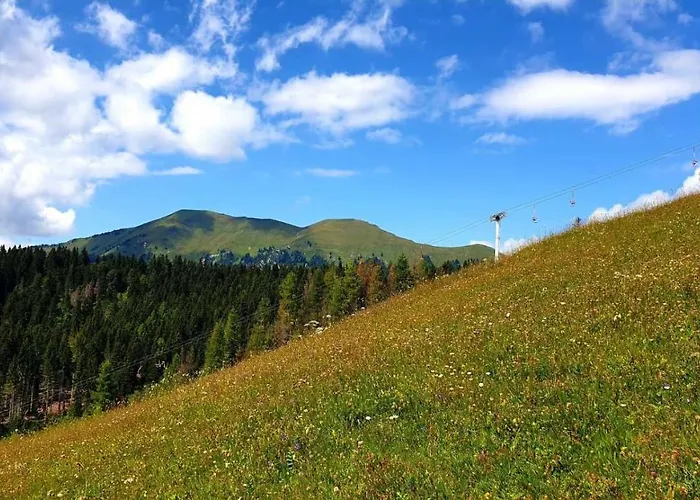 Pet & Family Friendly House Viktorija - House Near Golica With Triglav View *