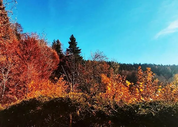 Holiday home Pet & Family Friendly House Viktorija - House Near Golica With Triglav View *