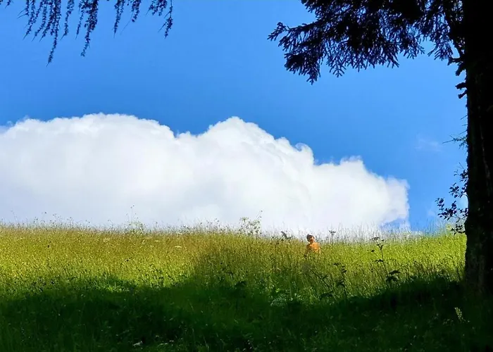 Pet & Family Friendly House Viktorija - House Near Golica With Triglav View Jesenice